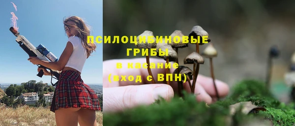 крисы Майский