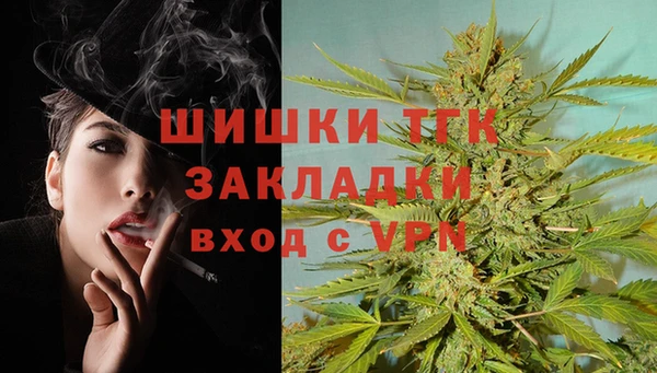 индика Аркадак