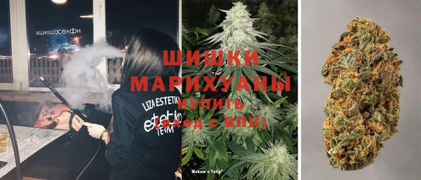 прущие грибы Баксан