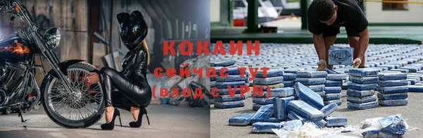 крисы Майский