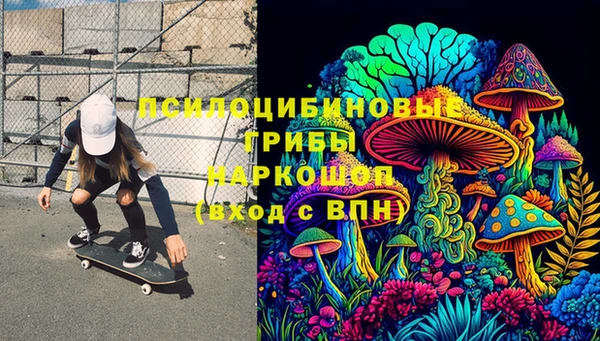 крисы Майский