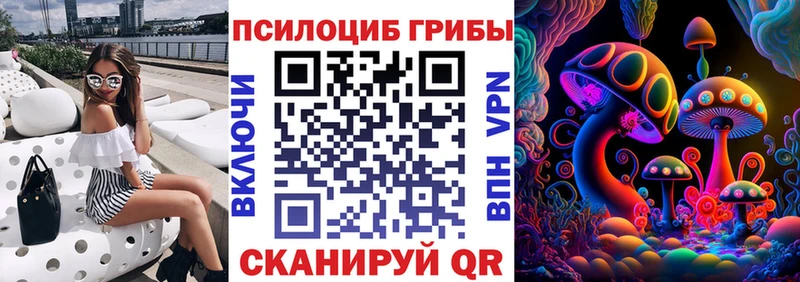 Псилоцибиновые грибы Cubensis  Купить где  Анжеро-Судженск 