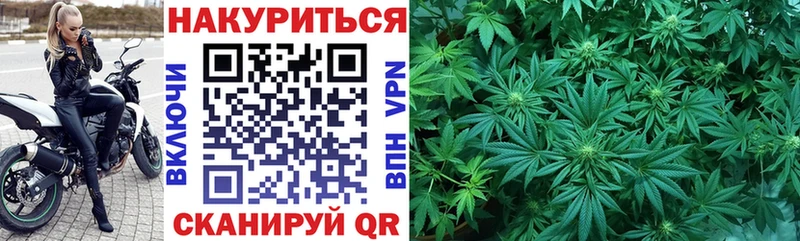 Шишки марихуана Amnesia  Купить закладки  Анжеро-Судженск 